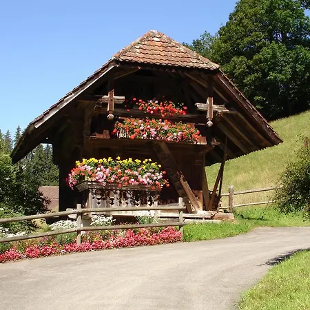 Alpenblick Heiligenschwendi