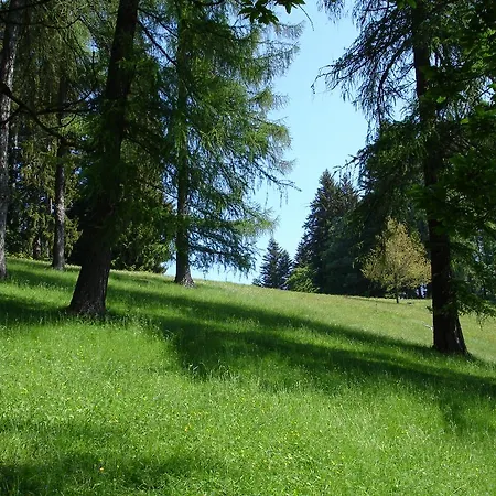 Szálloda Alpenblick Heiligenschwendi