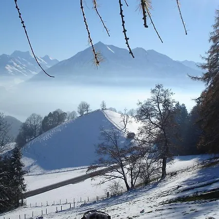 Alpenblick Heiligenschwendi